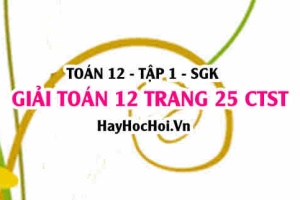Giải Toán 12 trang 25 tập 1 Chân trời sáng tạo